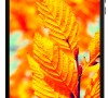 Ремонт Teclast MID